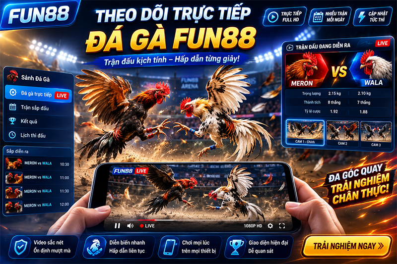 Theo dõi đá gà trực tiếp